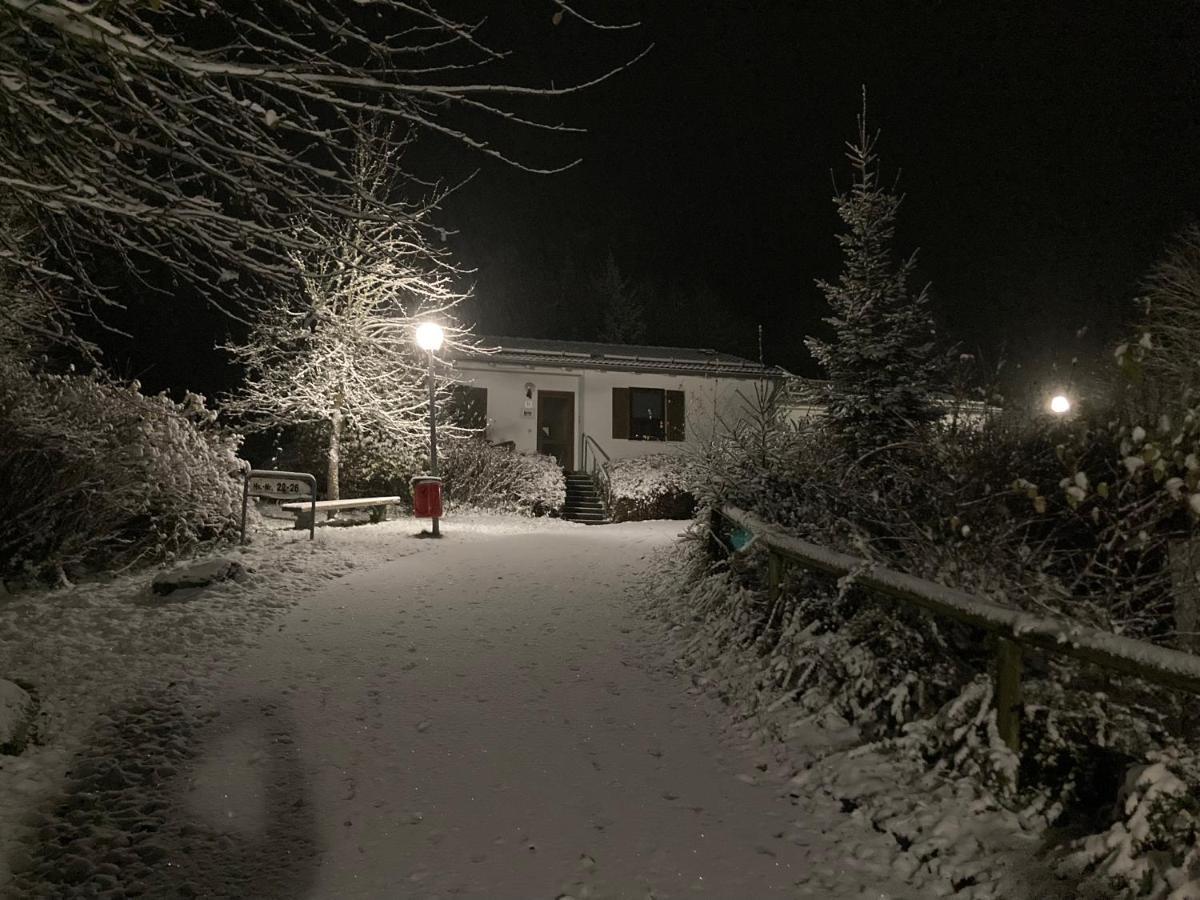 Ferienhaus Brandt Im Ferienpark Falkenstein Falkenstein  Eksteriør billede